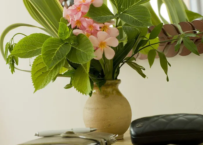 Hotel Golf De Valescure & Nuxe